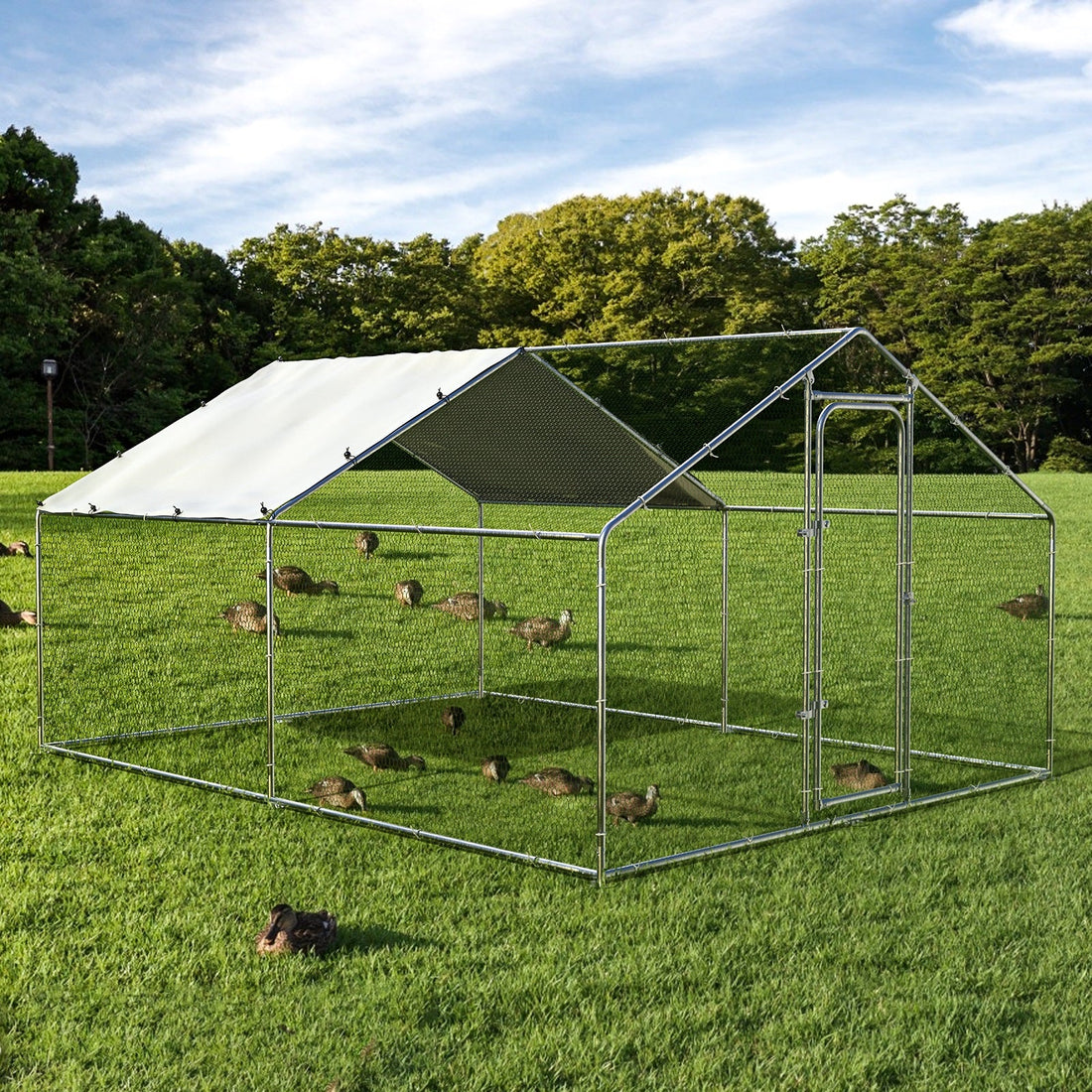 Best Large Metal Chicken Coop for Backyard: Walk-In Chicken Run Buying Guide