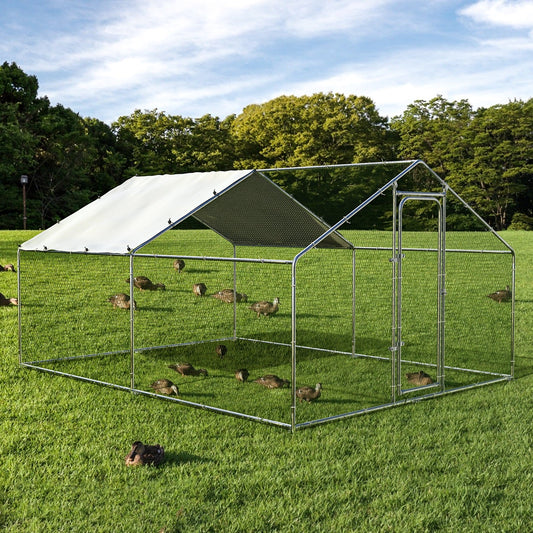 What Size Chicken Run Do I Need? Backyard Chicken Run Size Guide