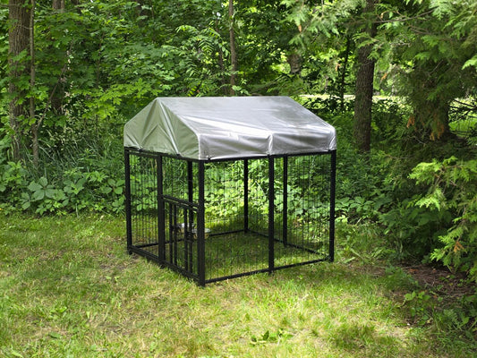 Best Outdoor Dog Kennel (2026 Guide): How to Choose the Safest & Most Durable Option