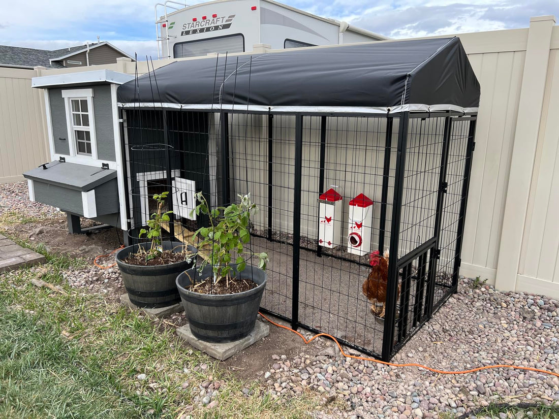 Galvanized vs. Powder-Coated: Which Outdoor Dog Kennel Lasts Longer?