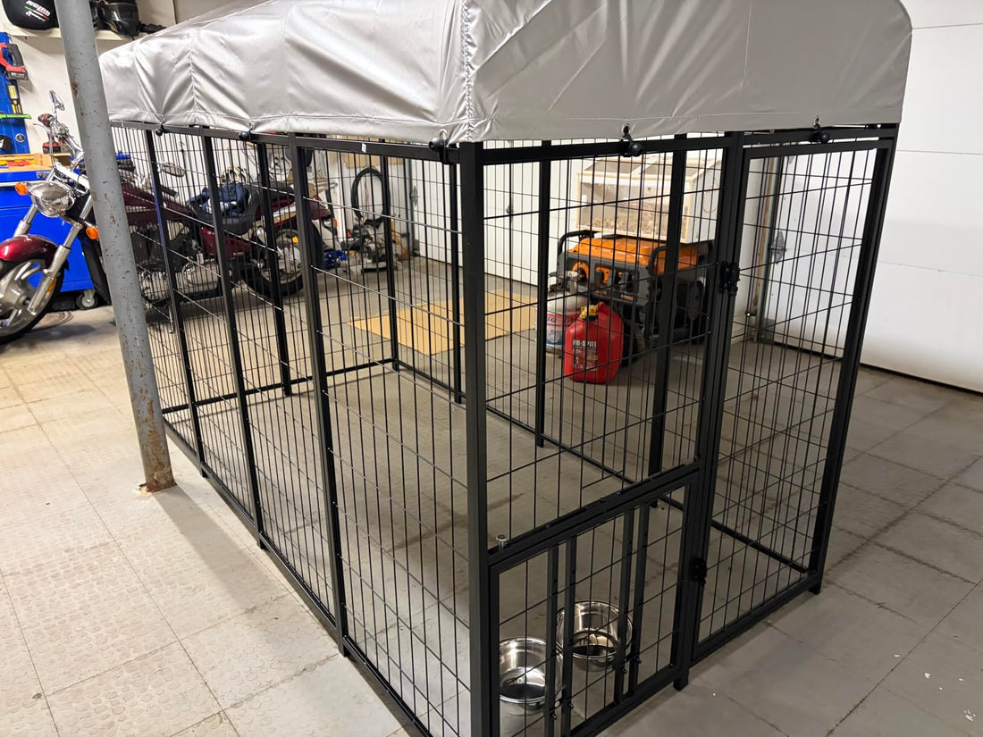 Best Outdoor Dog Kennels in USA (2026 Guide for Safe & Durable Dog Runs)