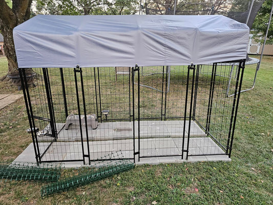 Best Outdoor Kennel for Dogs (2026 Guide): Safe, Spacious & Weather-Ready Options
