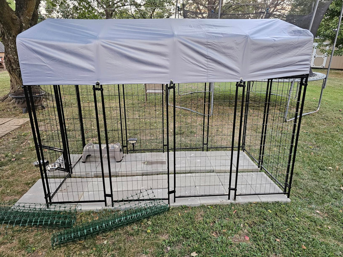 Dog Kennel Outdoor Guide (2026): How to Choose the Best Setup for Your Dog