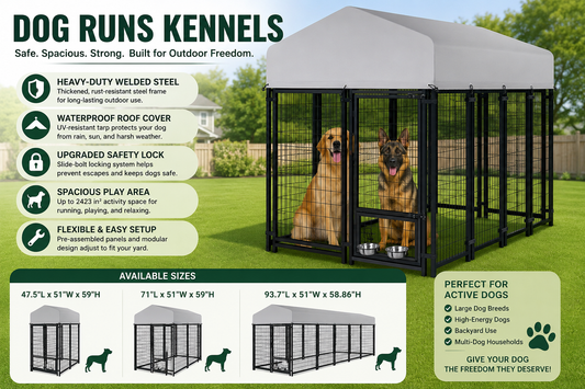 Dog Runs Kennels: Best Outdoor Dog Run Ideas for Safe Backyard Freedom