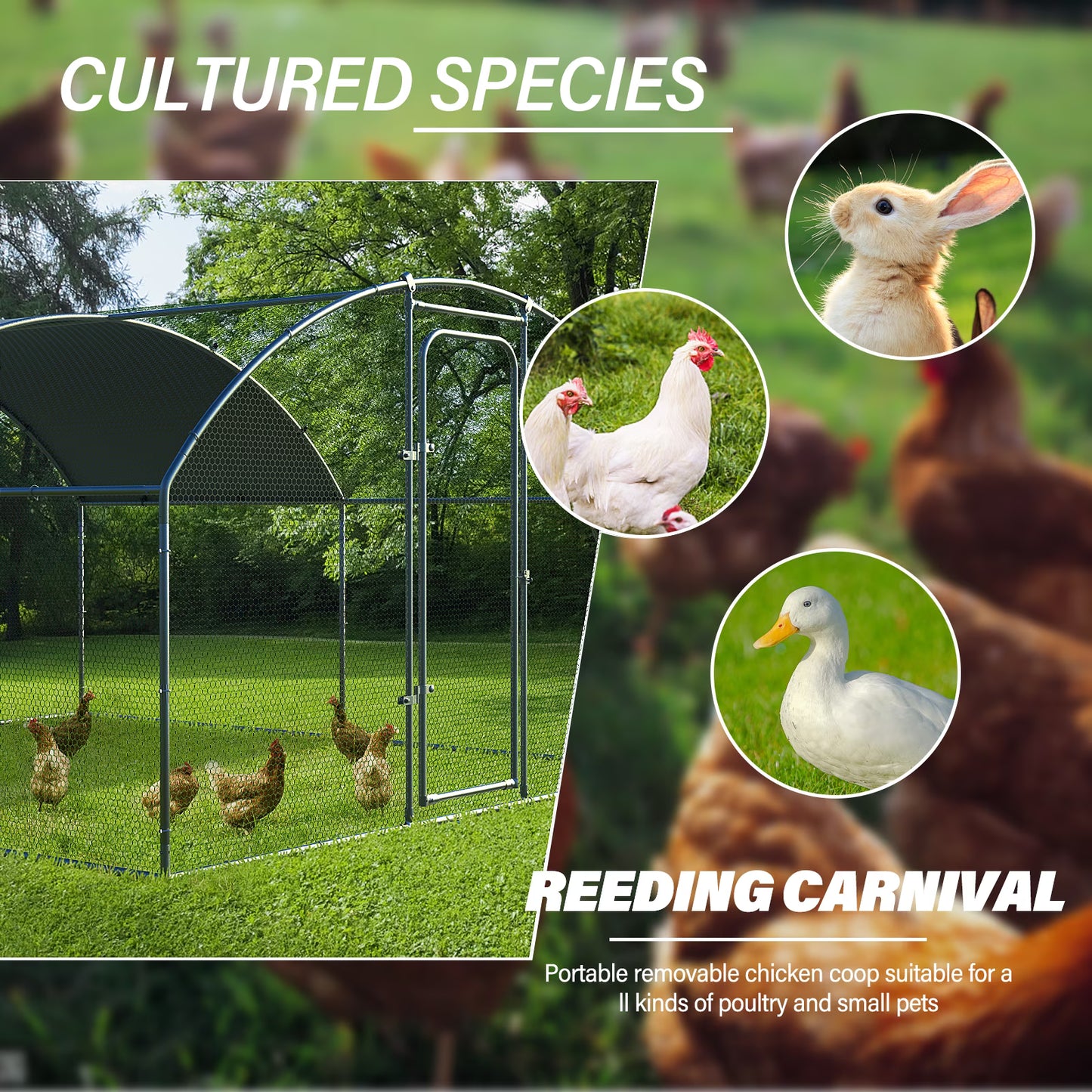 Oranland 4.92'x 9.9'x 6.4' Large Metal Chicken Coop, Chicken Runs for Yard with Waterproof and Anti-UV Cover, Walk-in Metal Poultry Cage for Backyard, Farm